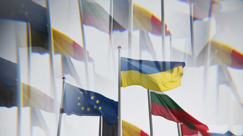 У "коалиции желающих" нет стратегии по Украине, заявил евродепутат