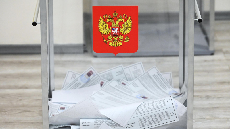 В ЦИК рассказали, сколько педагогов среди членов избирательных комиссий