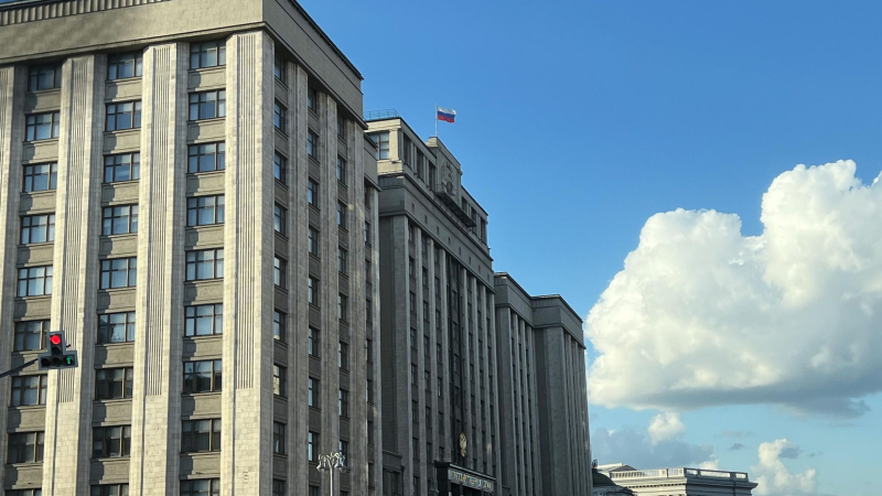 В ГД предложили давать статус многодетных независимо от наличия регистрации