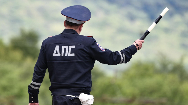 В Госавтоинспекции посоветовали не перевозить животных на переднем сиденье