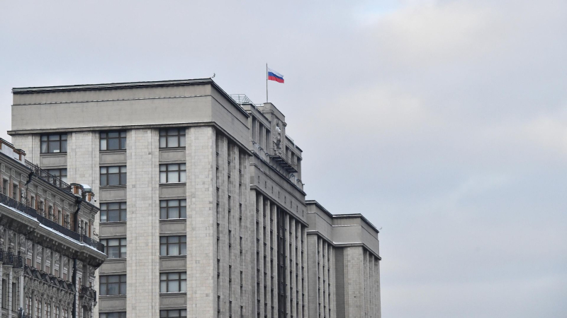 В Госдуме назвали заявление офиса Зеленского о переговорах мутным