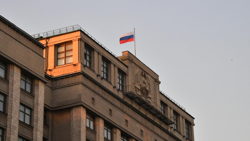 В Госдуме предложили учредить госнаграду для многодетных отцов