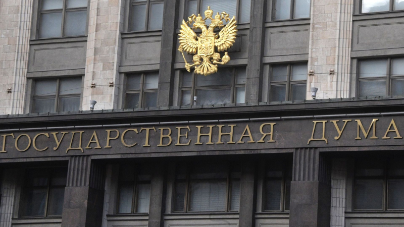 В Госдуме прокомментировали проект «Выход 31» для помощи подросткам