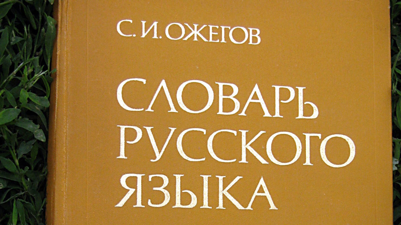 В Киеве сотрудницу вуза оштрафовали за разговор на русском языке