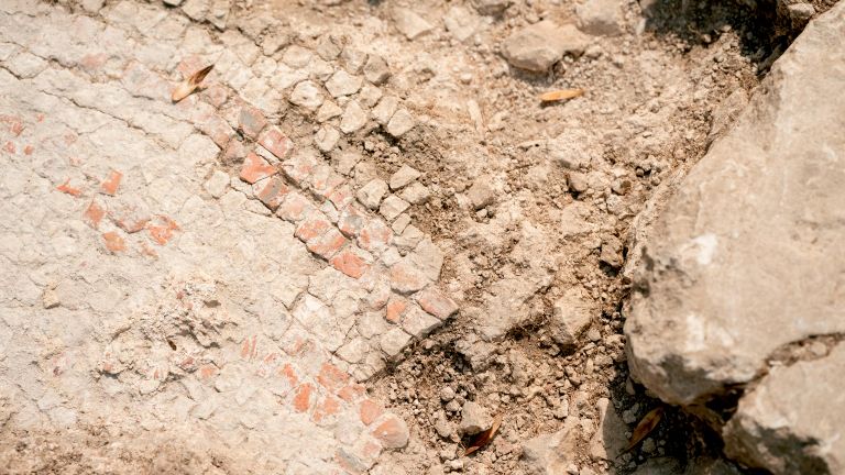 В Крыму при раскопках церкви обнаружена нетипичная алтарная мозаика