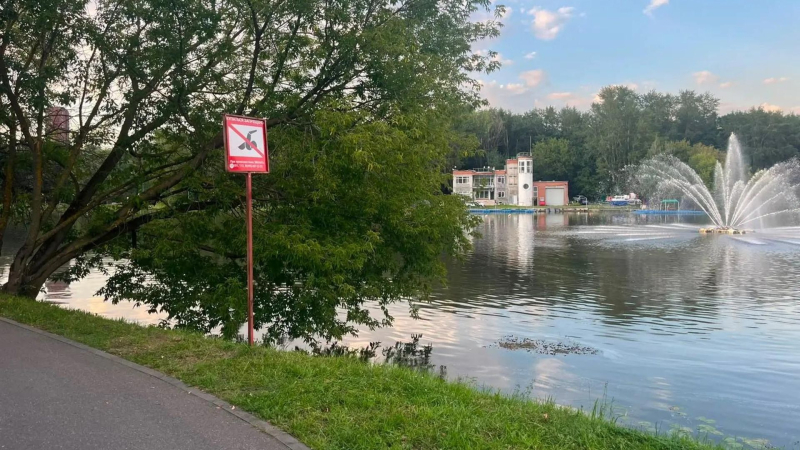 В Люблинском пруду утонула десятилетняя девочка
