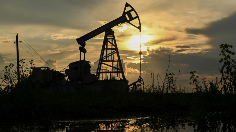 В Минприроды рассказали, сколько месторождений нефти открыли в России