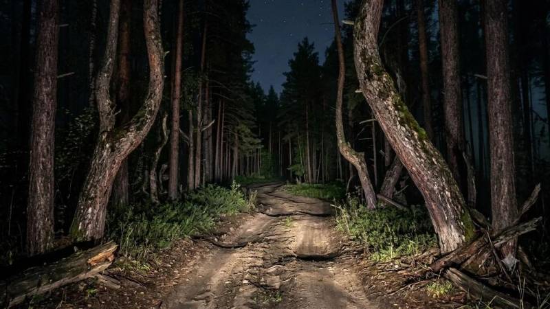 В Новосибирской области ищут подозреваемого в стрельбе по людям