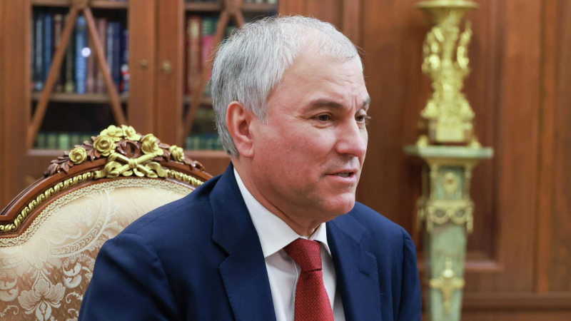 Володин рассказал, сколько сообщений получил от россиян в «Максе»