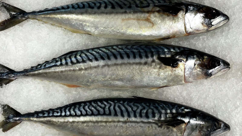 Врач назвала продукт, который поможет школьнику успешно начать учебный год
