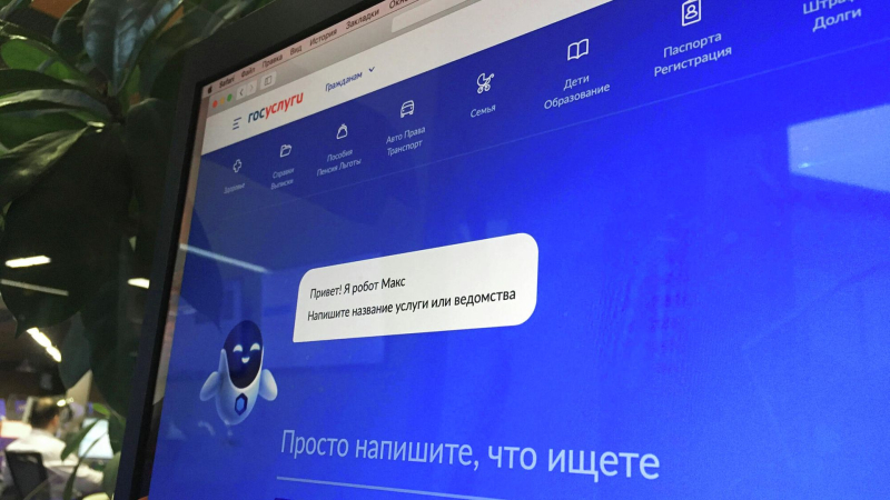 Более трех миллионов человек подали заявления на участие в ДЭГ
