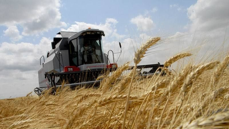 Европейские фермеры предупредили об угрозе продовольственного кризиса зимой
