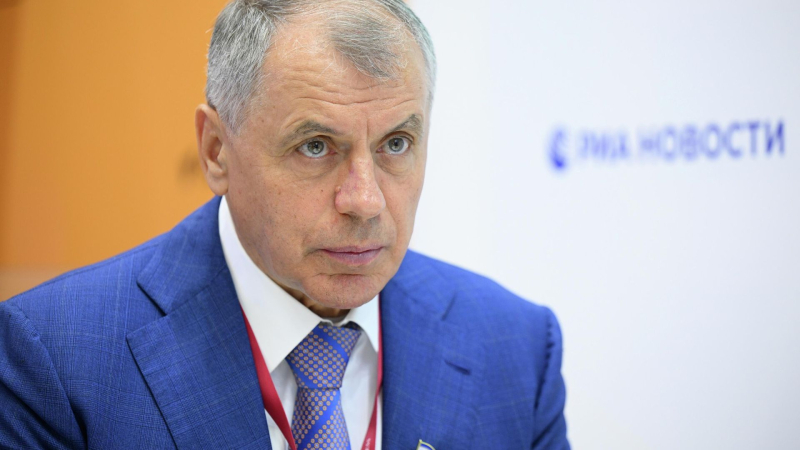 Константинов назвал выпад ФРГ в адрес России дешевой провокацией