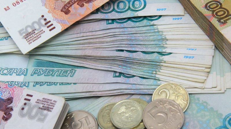 Названы регионы России с самыми высокооплачиваемыми подработками