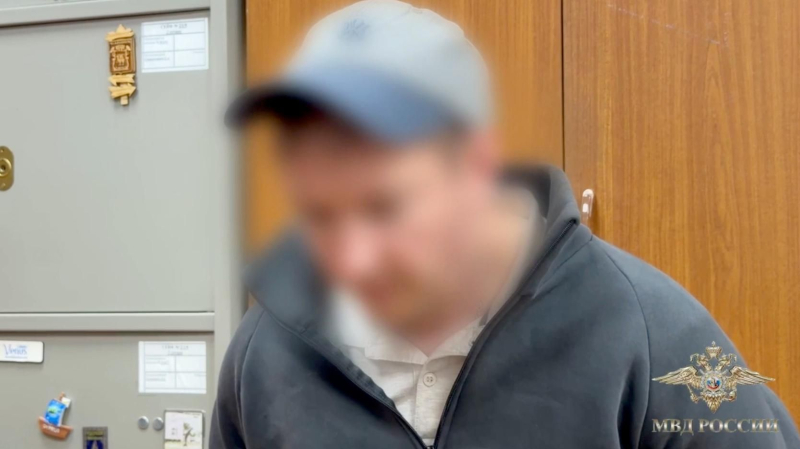 Появились детали об обвиняемом в убийстве девочки в Ленинградской области