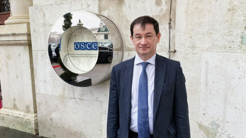 Полянский рассказал, чем Мерц отвечает на обеспокоенность граждан