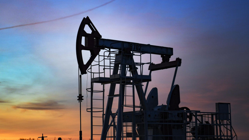 Собянин поблагодарил нефтяников и газовиков за труд