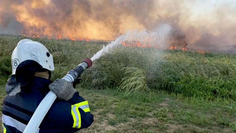 В Анапе потушили природный пожар