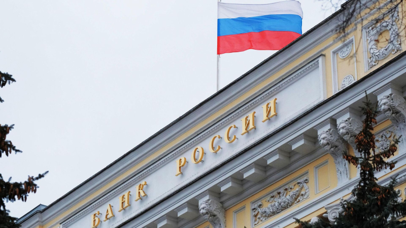 В Центробанке сравнили российскую экономику с верблюдом