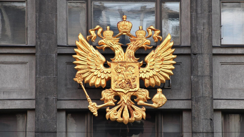 В Госдуме предложили ввести "родительскую зарплату" в размере МРОТ