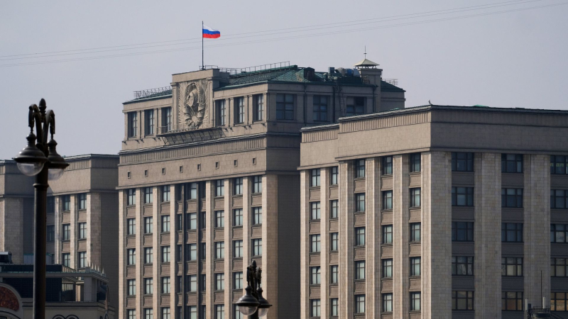 В Госдуме рассказали о новом праве участников СВО при сокращении на работе