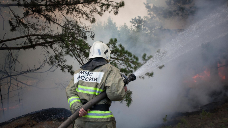 В России за сутки потушили 13 лесных пожаров