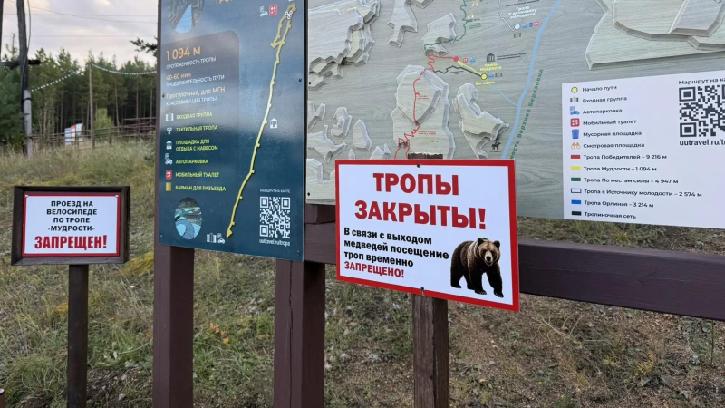 В Улан-Удэ закрыли туристические тропы из-за ситуации с медведями