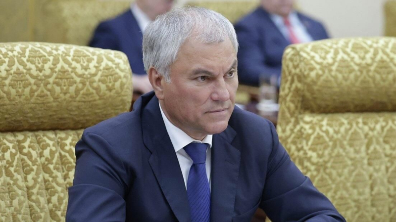 Володин призвал скорректировать постановление об учете животных