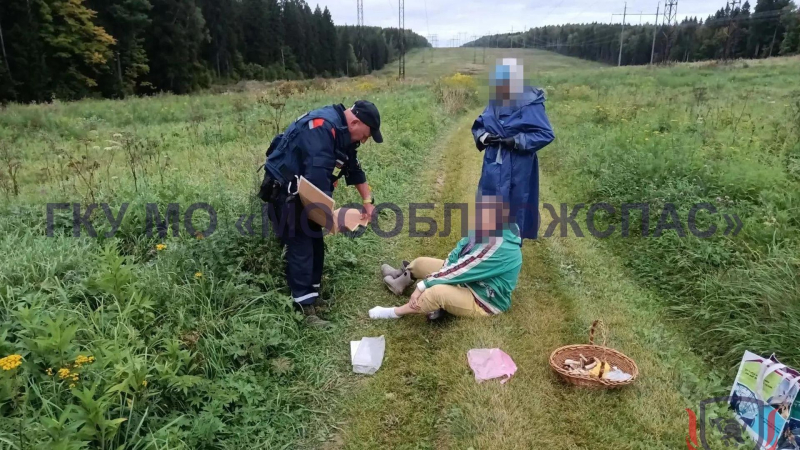 Жительница Подмосковья попала в больницу после укуса змеи
